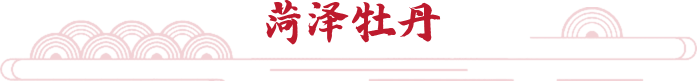菏澤牡丹