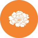 工作動態(tài)